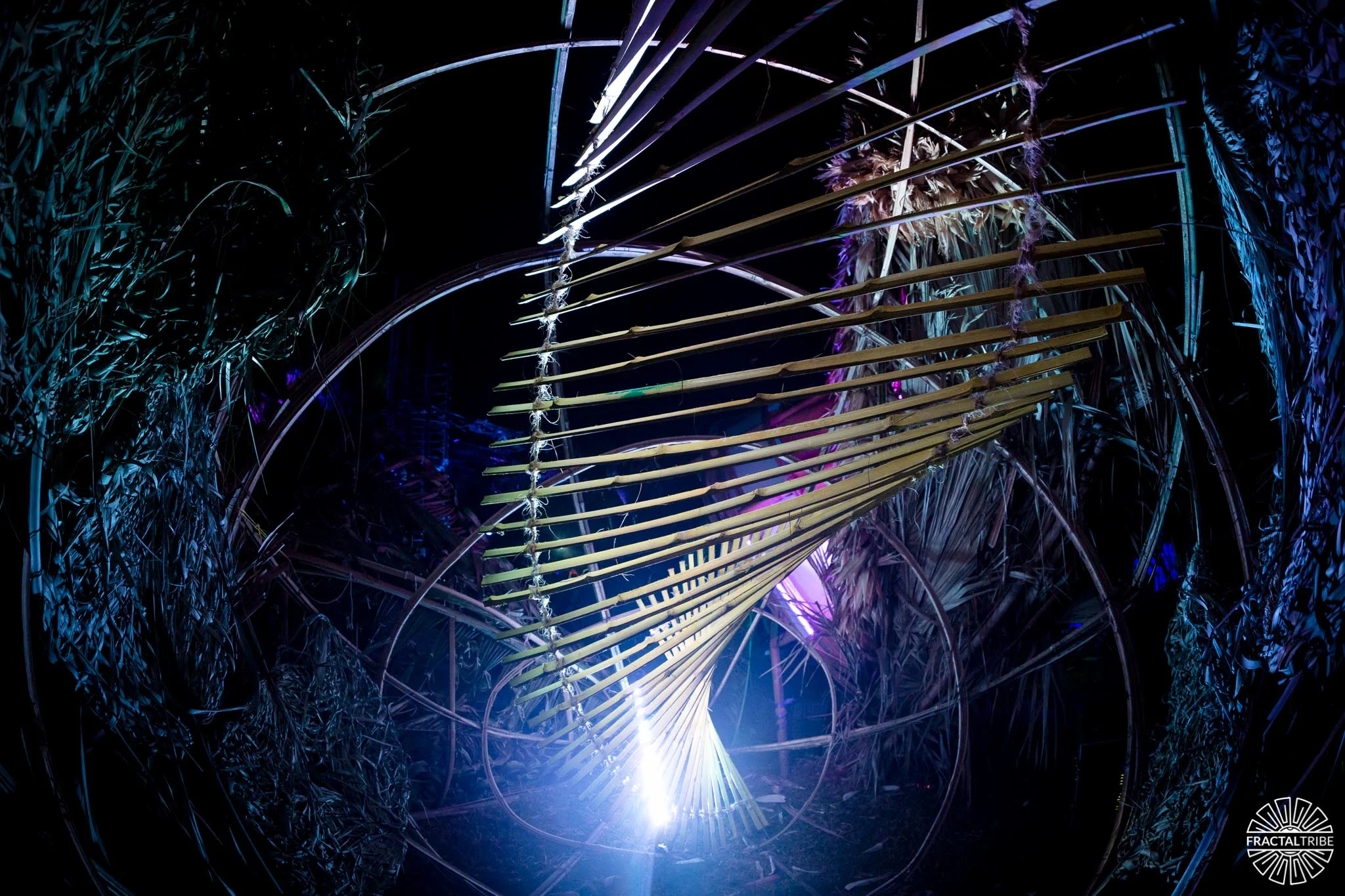 Bamboo spiral tunnel — ethereal light